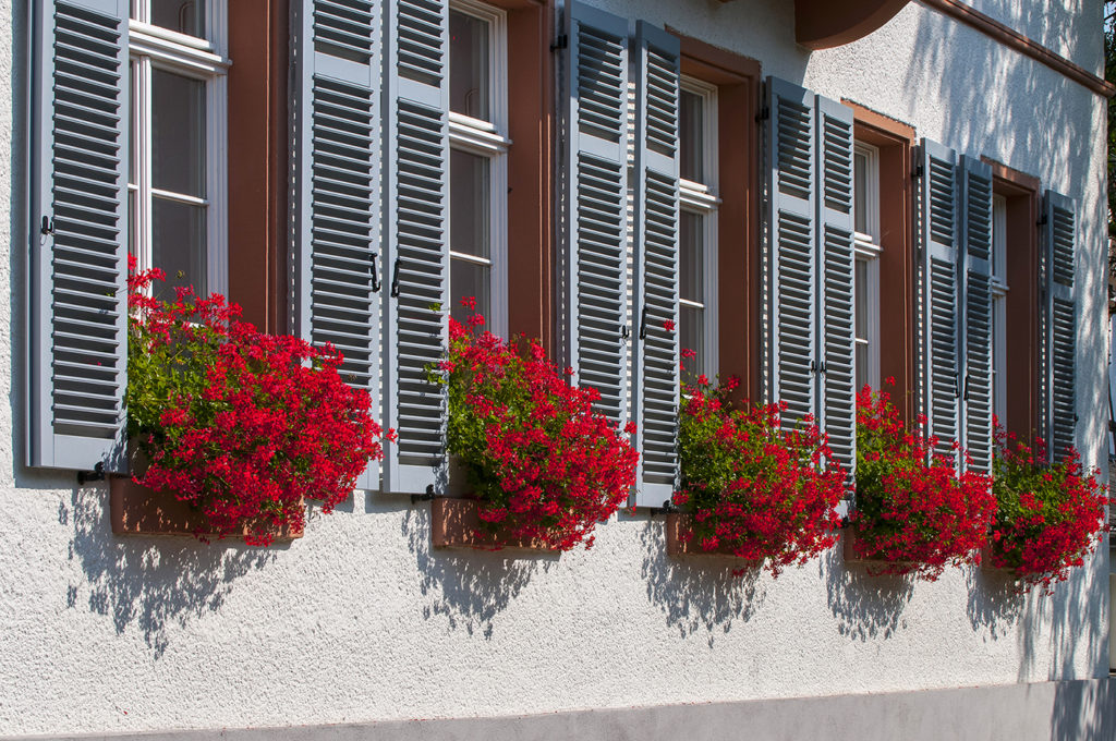 Kurhaus-Window