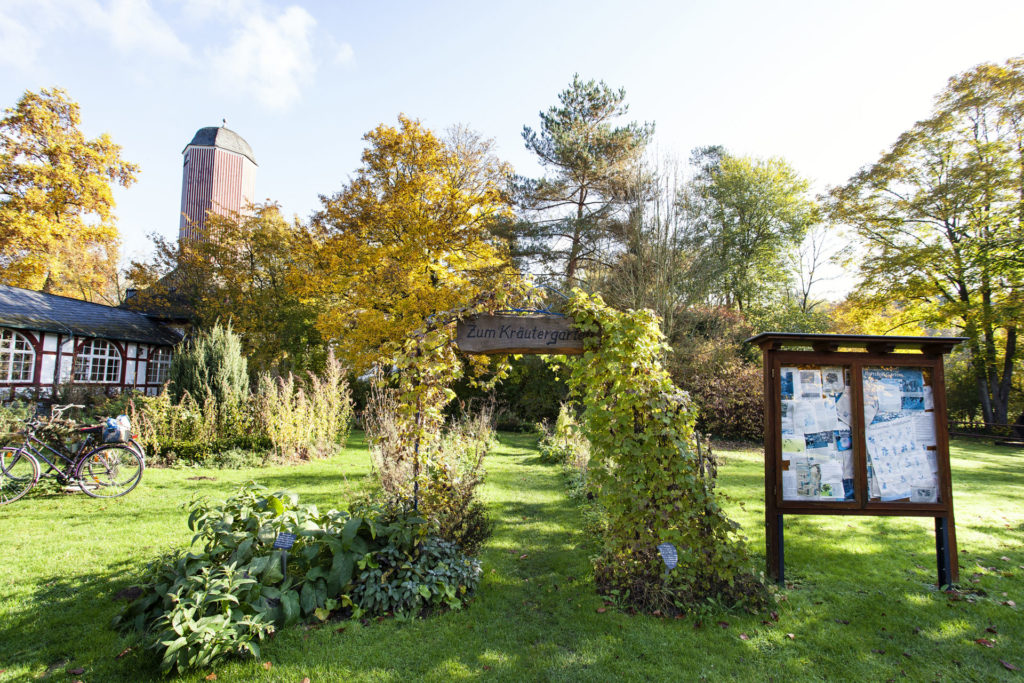 Herb Garden