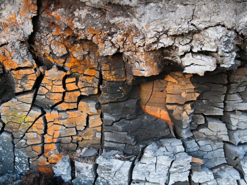 Geologischer Garten