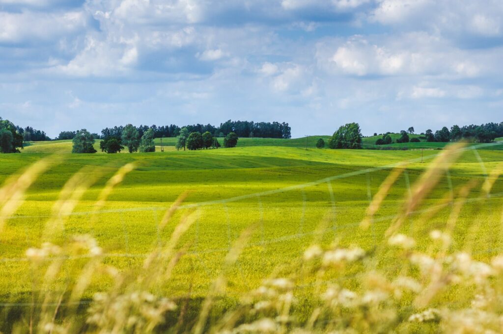 Landscape